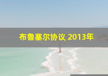 布鲁塞尔协议 2013年